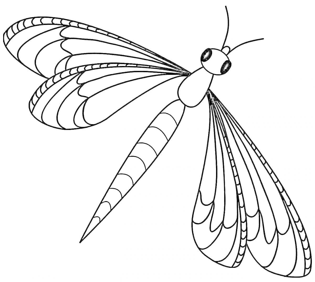 Раскраска Стрекоза с длинным телом и узорчатыми крыльями