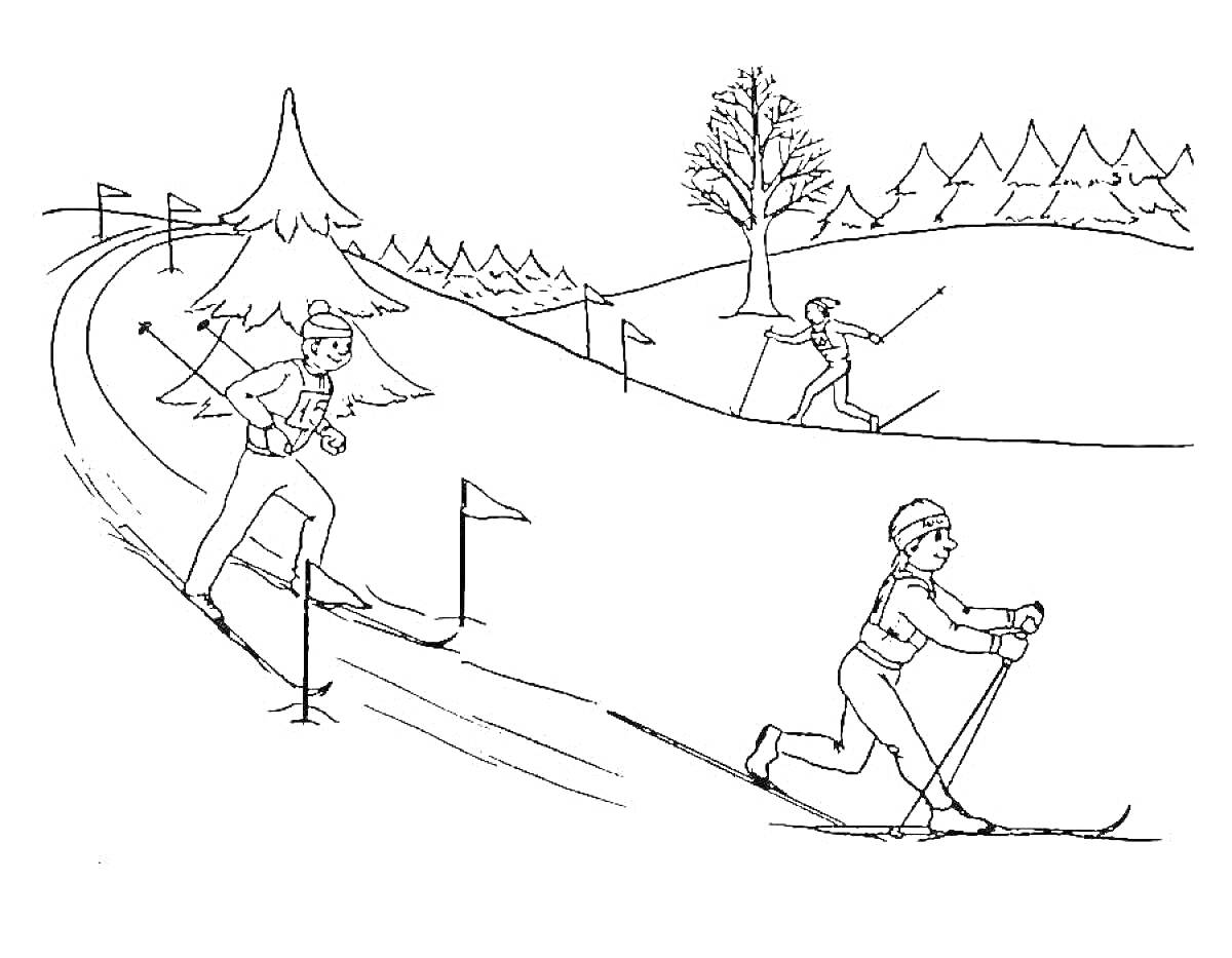 На раскраске изображено: Лыжи, Зимний спорт, Лес, Деревья, Флаг, Гонки, Горы, Спортсмен