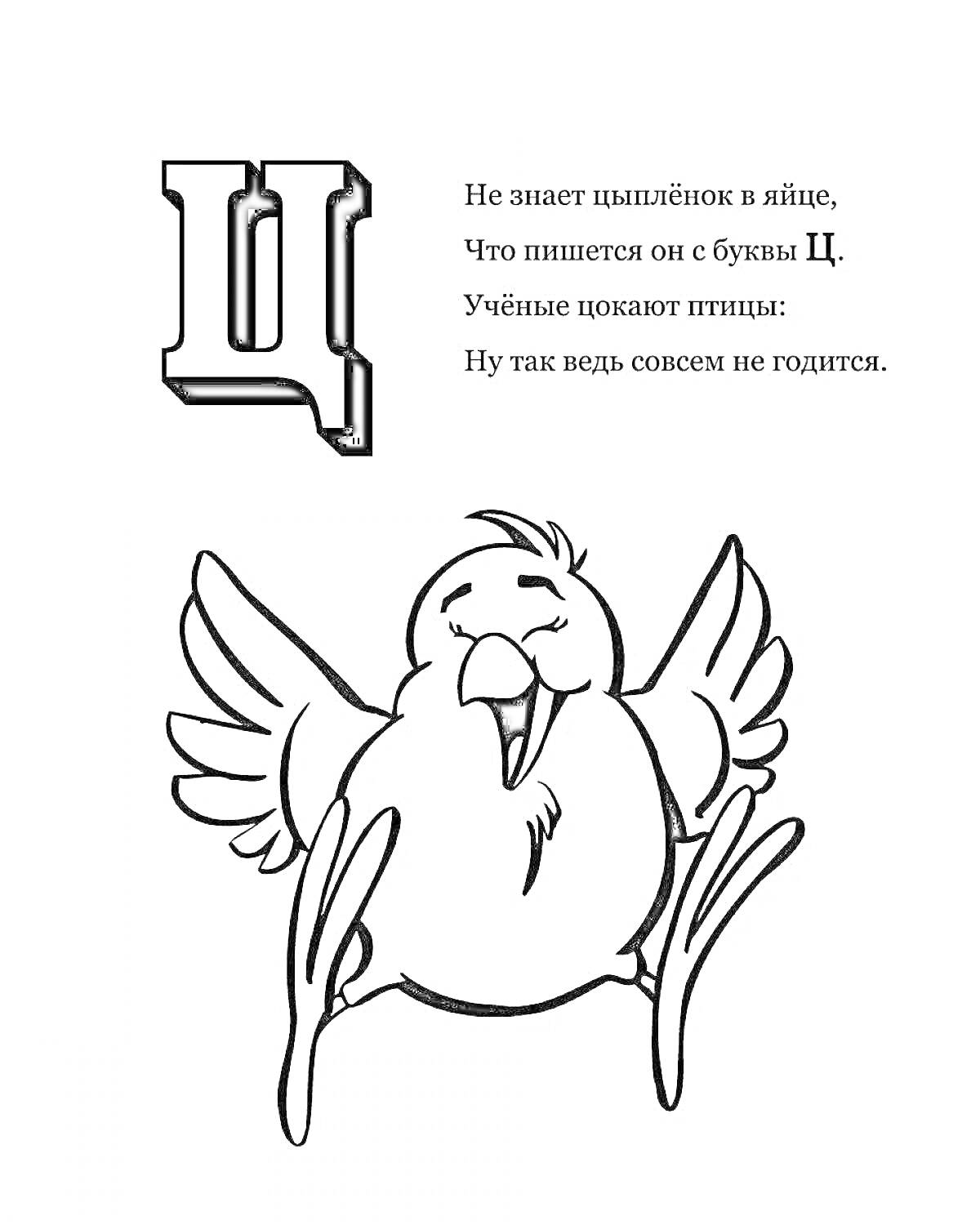 На раскраске изображено: Буква Ц, Первый класс, Алфавит, Учеба, Русский язык, Стихотворение