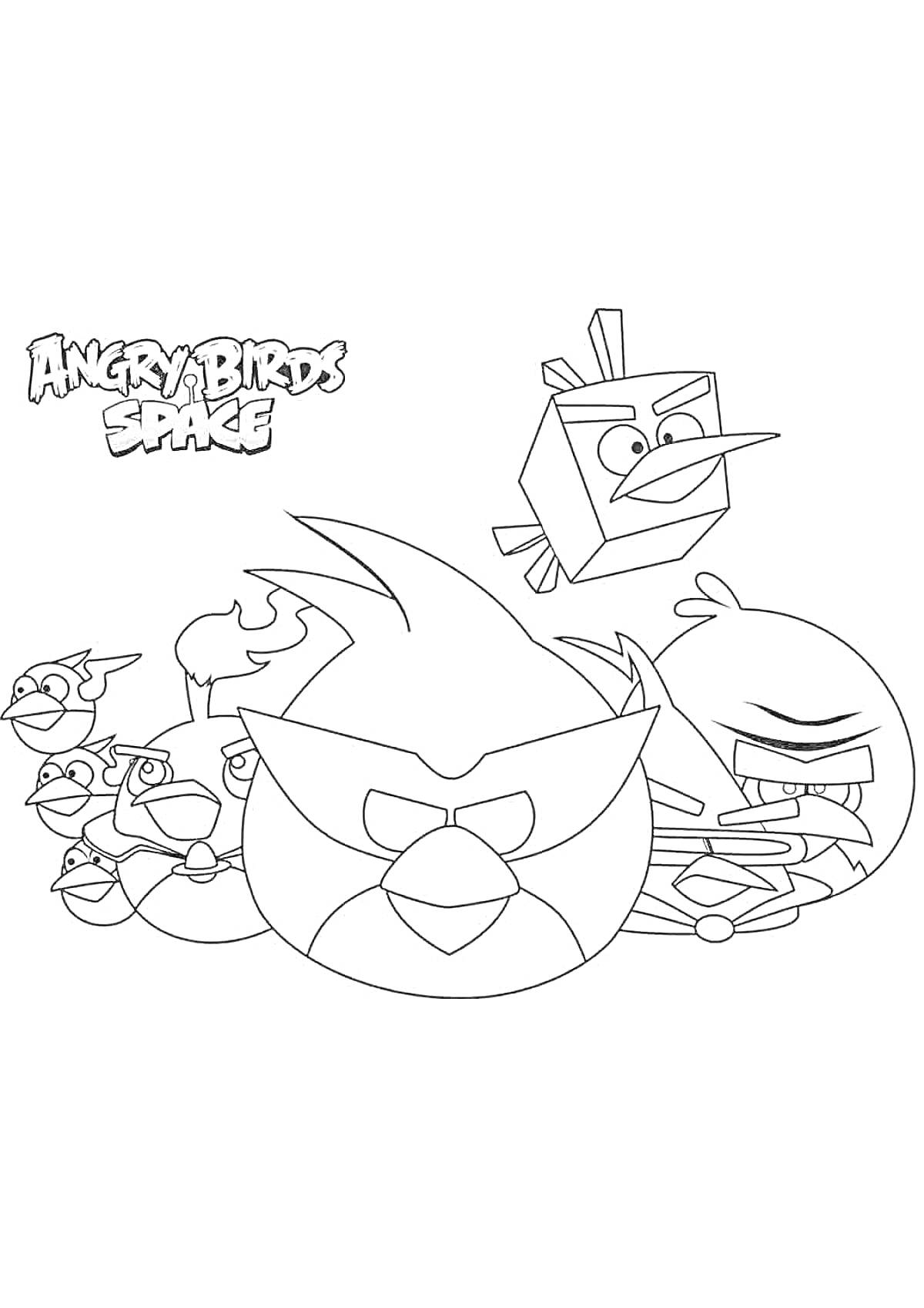 Раскраска Angry Birds Space с изображением нескольких птиц, включая птицу в виде куба, птицу с шипами, птицу с антеннами, а также большой круглой и средней остроконечной птиц.