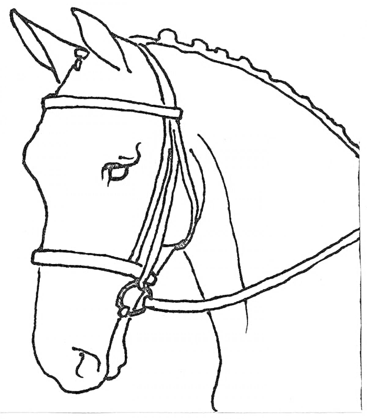 На раскраске изображено: Лошадь, Уздечка, Животные, Искусство, Для детей, Контурные рисунки