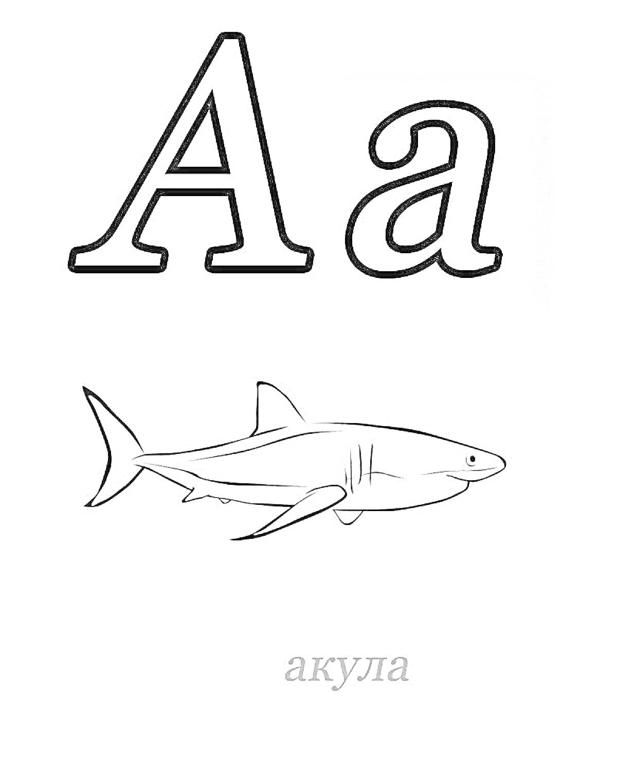 Раскраска Буква А с изображением акулы и подписью 