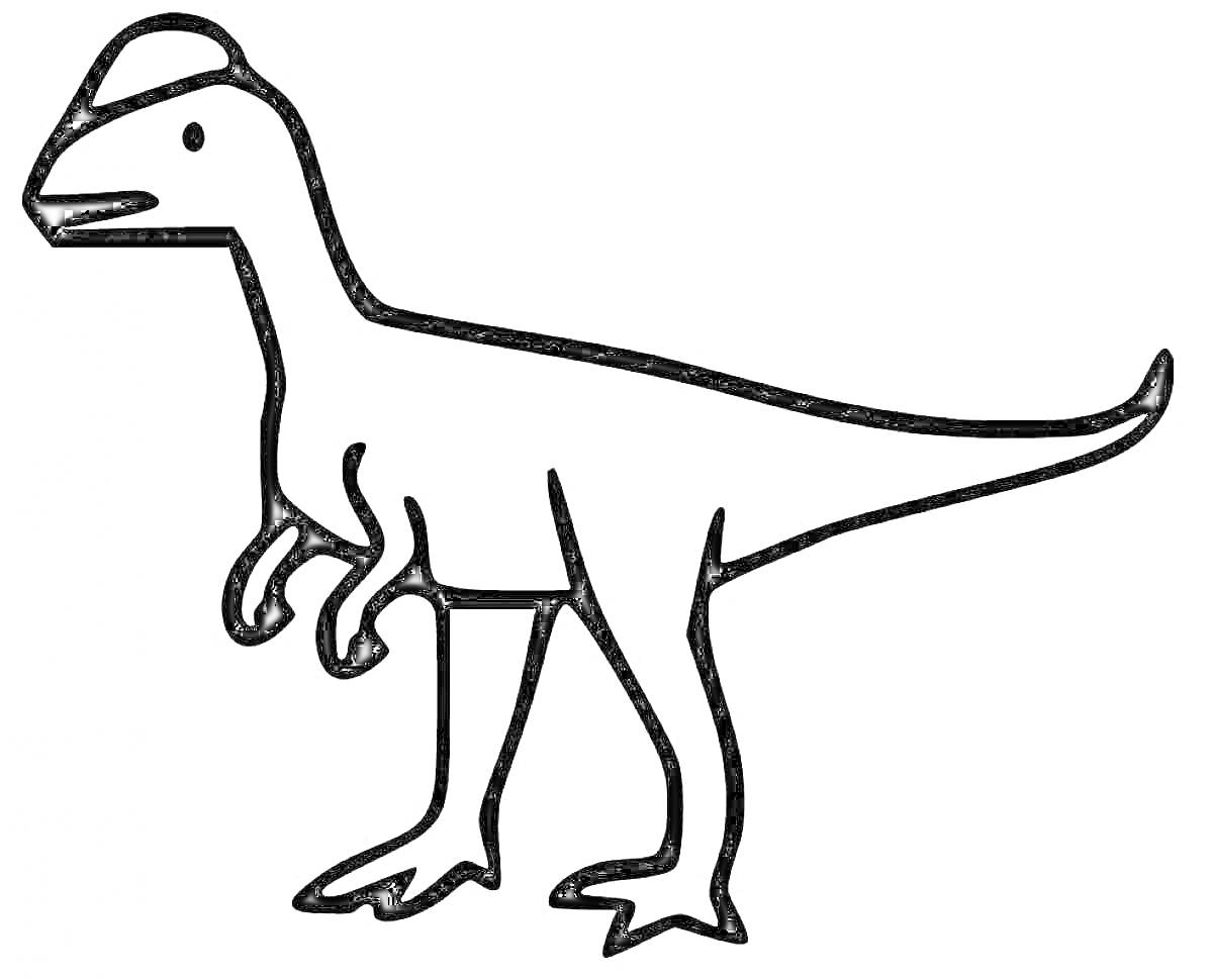 Раскраска Раскраска с дилофозавром, стоящим на задних лапах