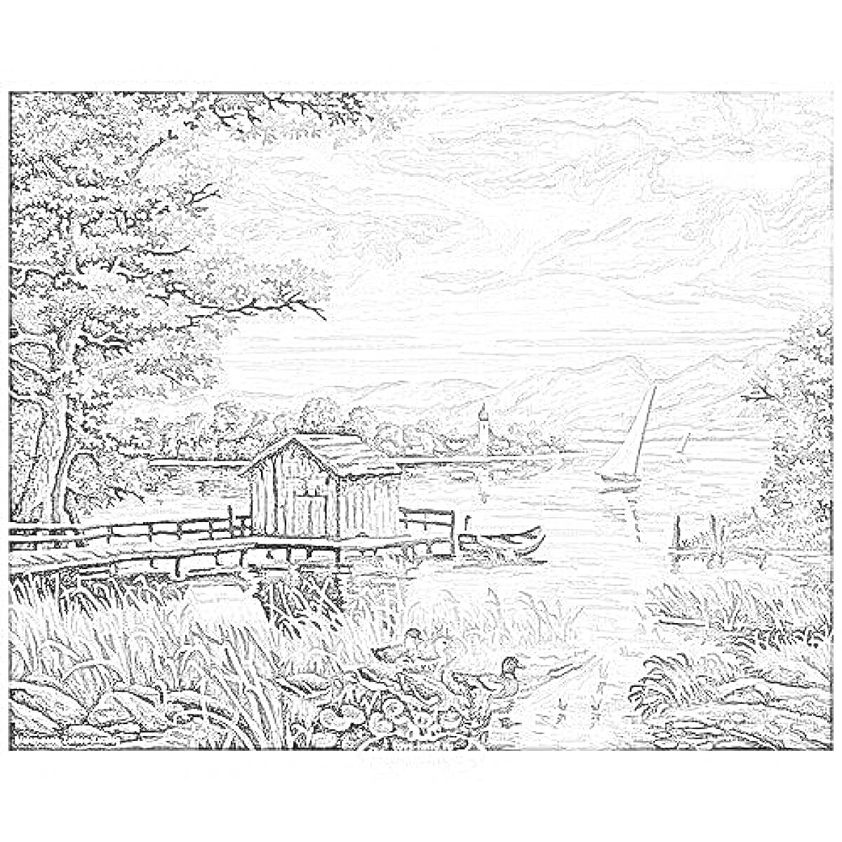 Раскраска Пейзаж у озера с лодкой, утками и домиком на берегу