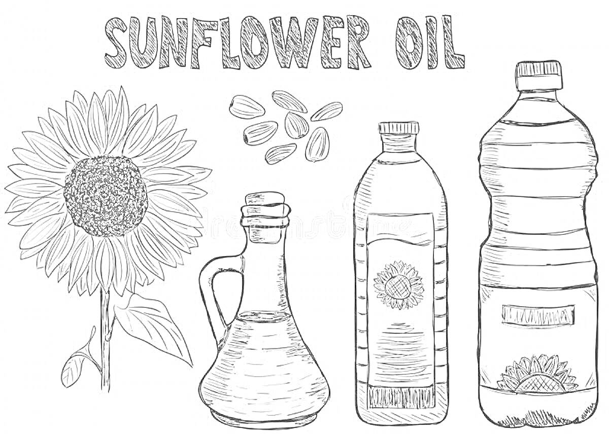 Раскраска Подсолнечное масло - рисунок подсолнуха, семян и бутылок масла