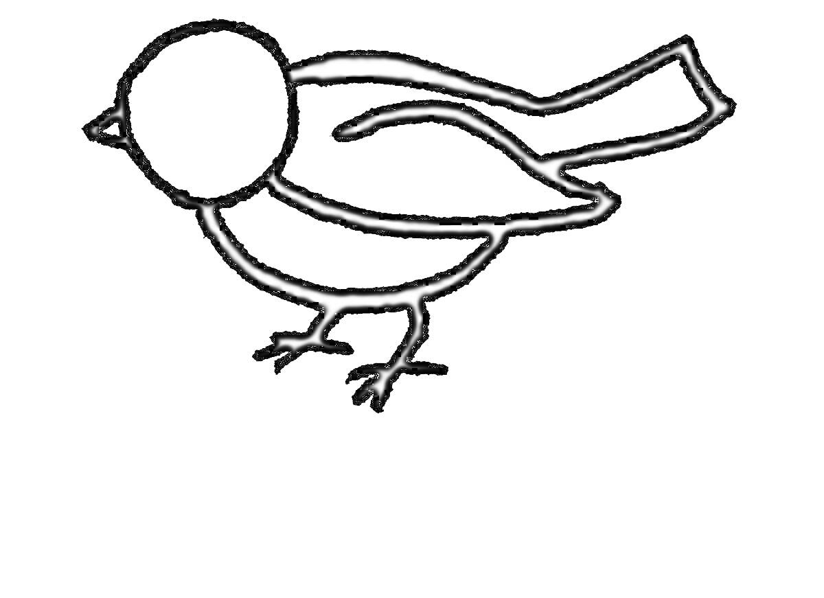 На раскраске изображено: Синица, Птица, 2-3 года, Животные