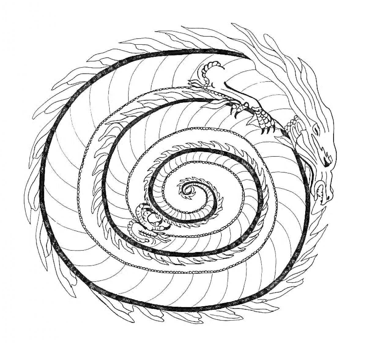Раскраска Спиральный дракон с узорами по телу и деталями на хвосте, грива из огня, чешуя, большие когти и хвост