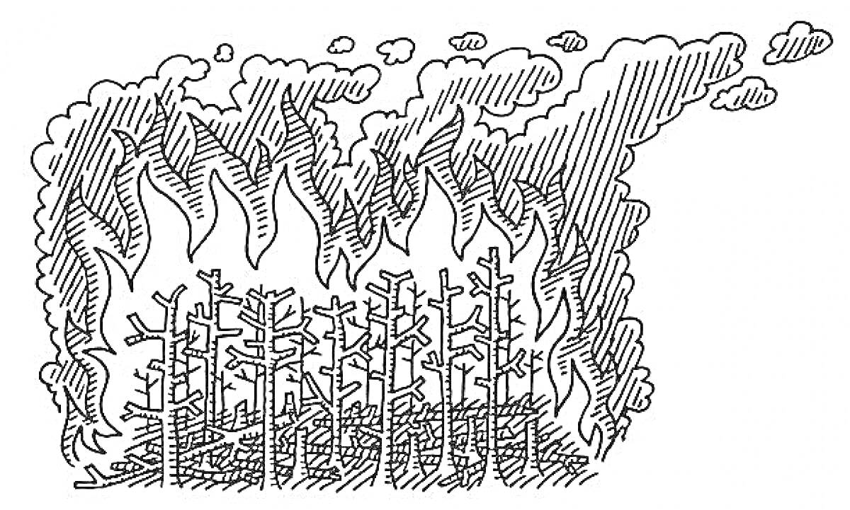 Раскраска Пожар в лесу с деревьями и густым дымом