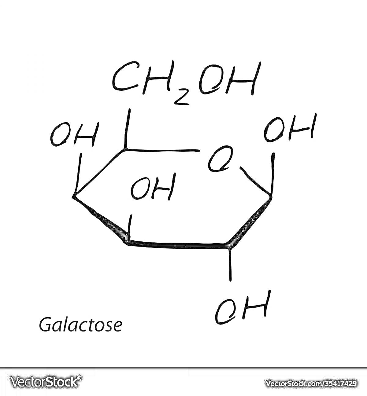 Раскраска Галактоза с химической структурной формулой и обозначением гидроксильных групп