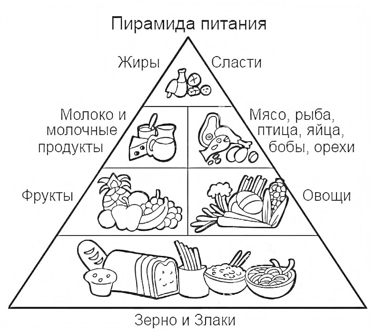 Раскраска Пирамида питания с жирами, сладостями, молочными и молочными продуктами, мясом, рыбой, птицей, яйцами, бобами, орехами, фруктами, овощами, зерном и злаками