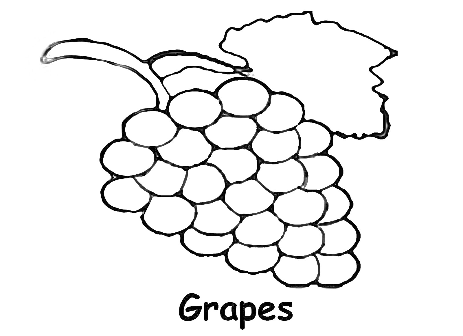 Гроздь винограда с листьями и надписью 