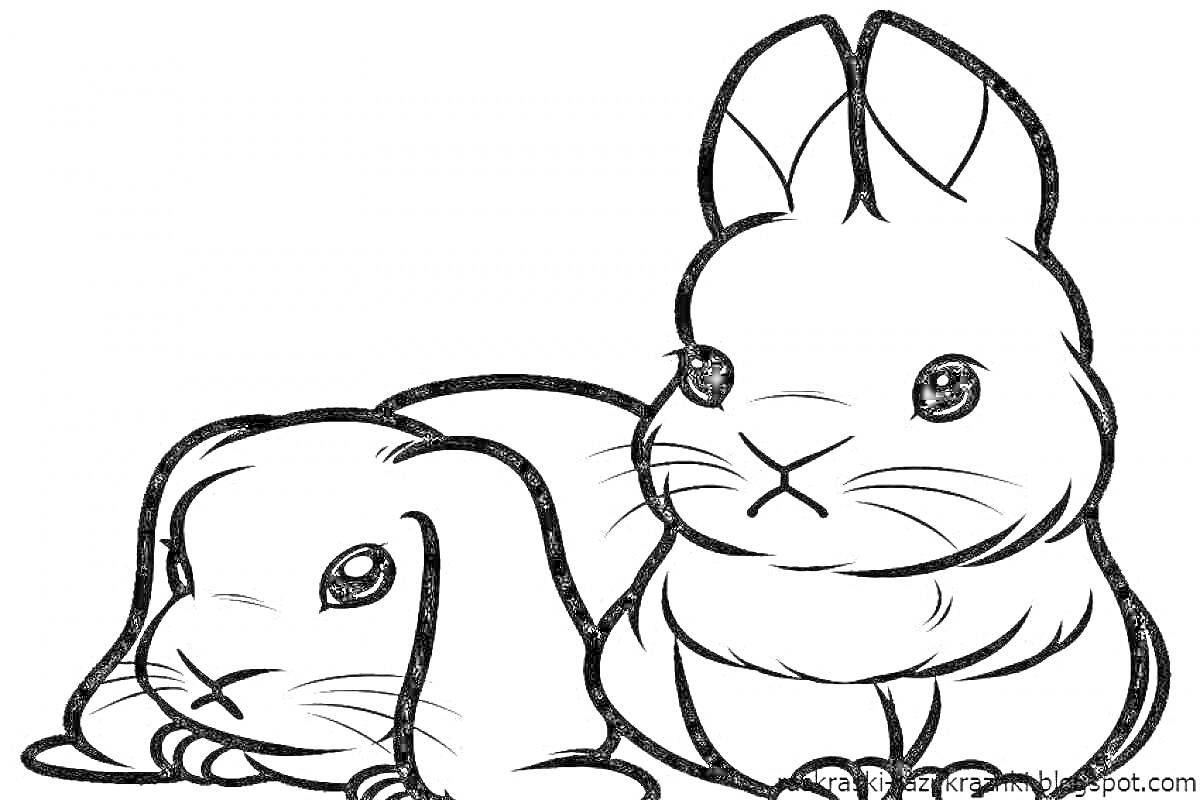 Раскраска Два кролика, сидящих рядом