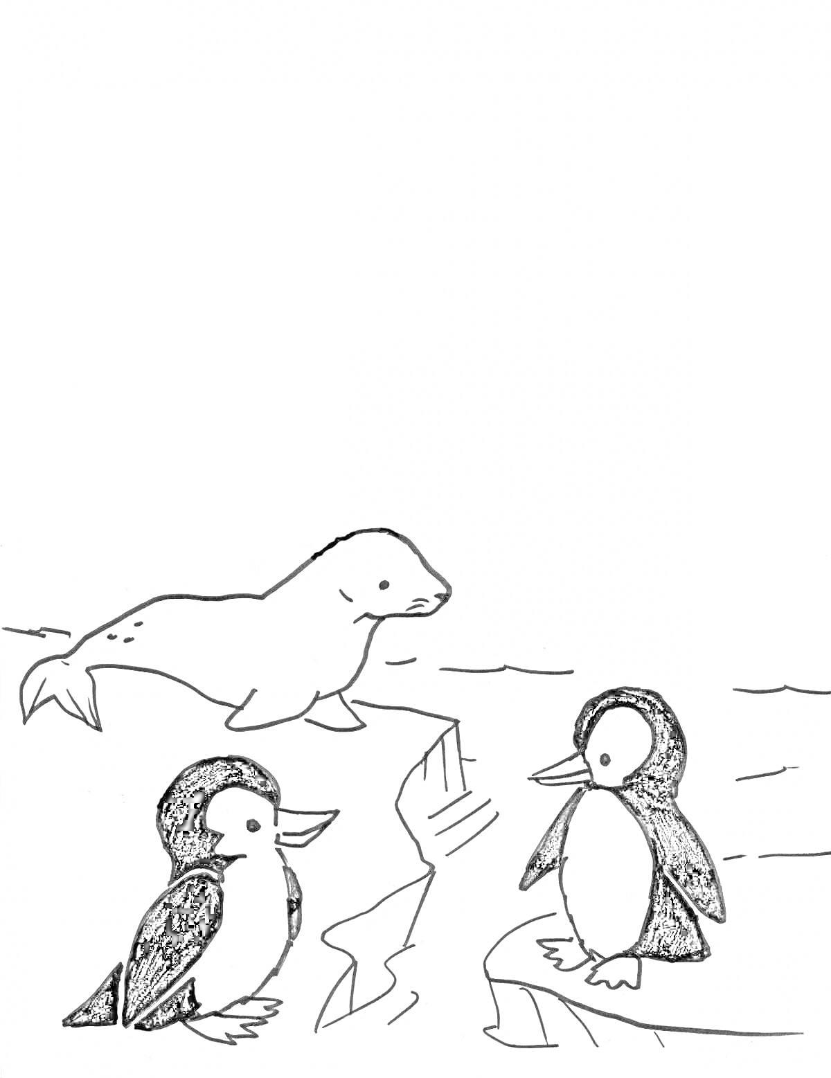 На раскраске изображено: Льдина, Тюлень, Арктика, Животные, Море