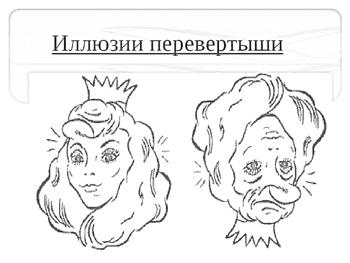 На раскраске изображено: Иллюзия, Перевертыш, Принцесса, Старуха, Оптическая иллюзия