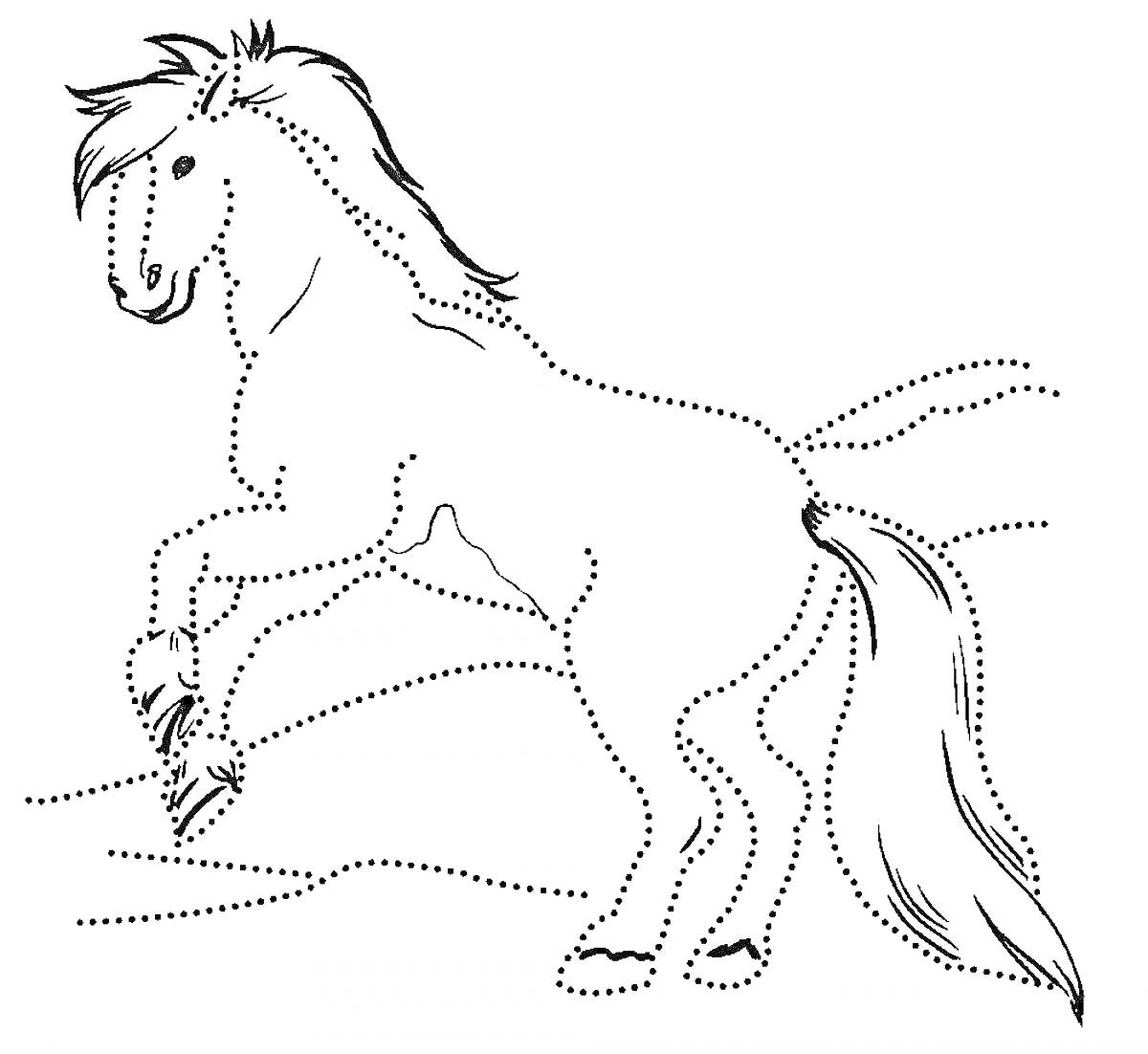 Раскраска Пунктирный контур сказочного коня Сивки-Бурки на фоне поля