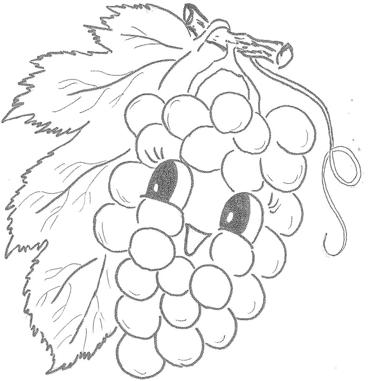 Раскраска Виноградная гроздь с милым лицом и листьями