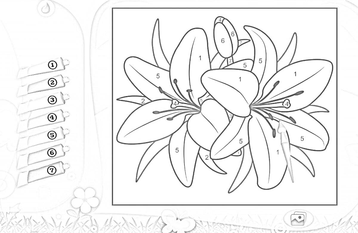 Раскраска Лилии с листьями и бутоном
