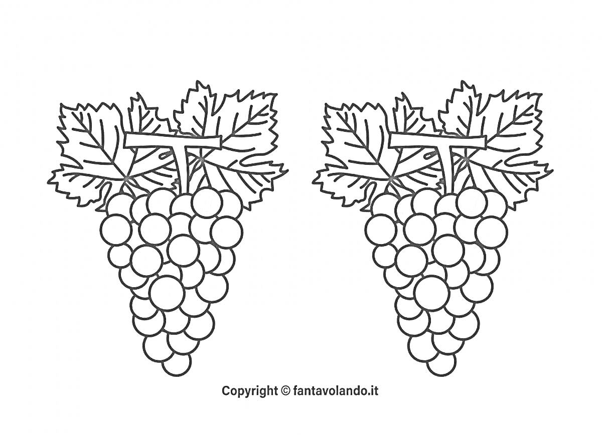 Раскраска Две грозди винограда с листьями