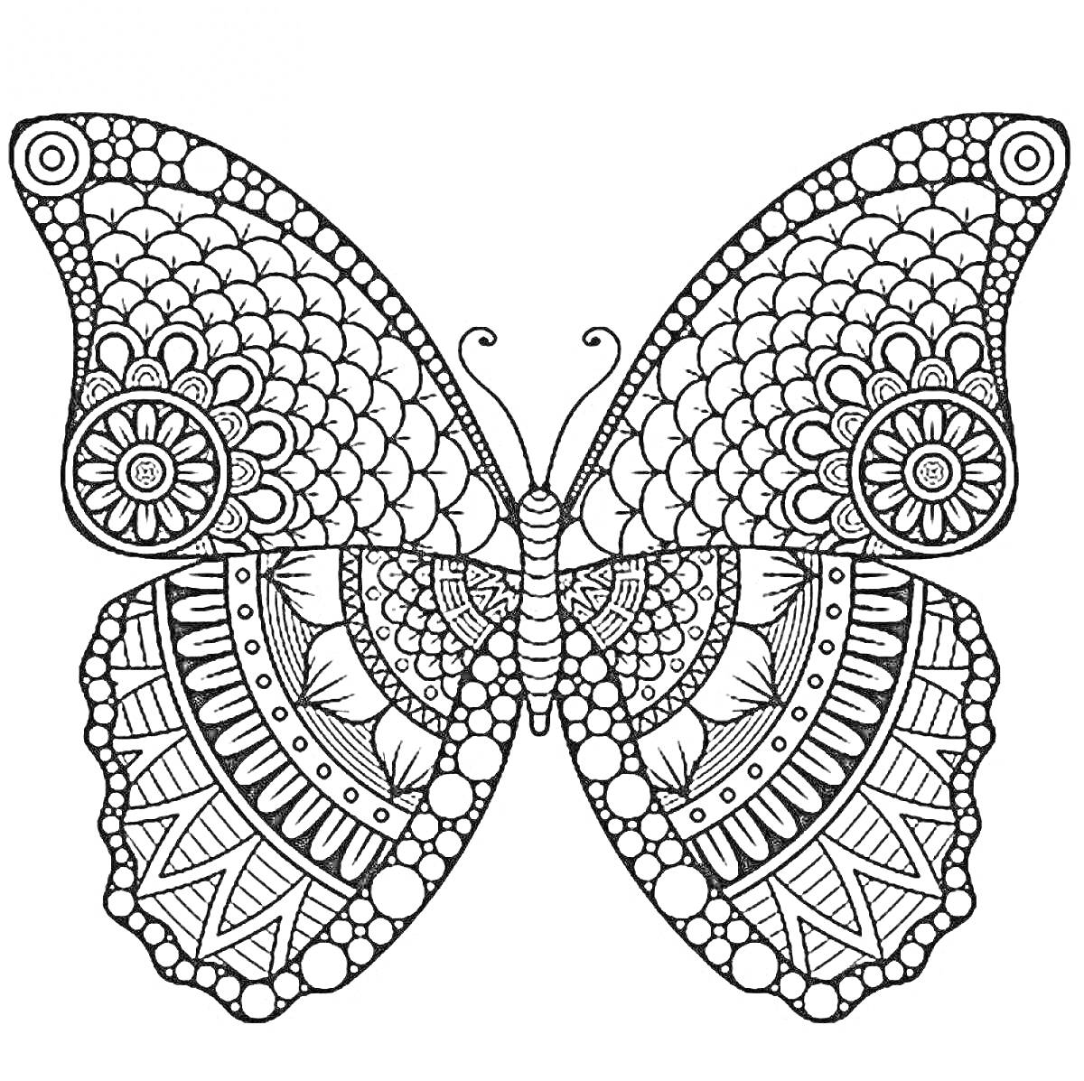 Бабочка с узорами из точек, линий и цветочных элементов