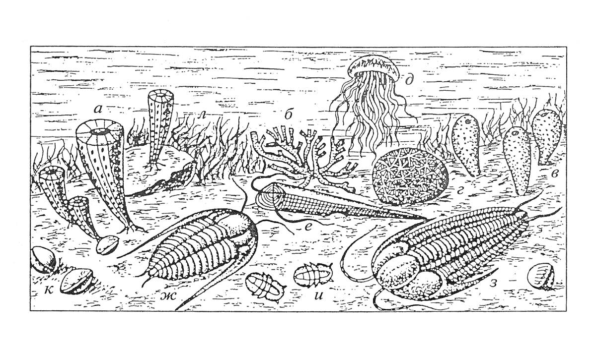 Раскраска Морское дно палеозойской эры с разнообразными морскими существами (трилобиты, морские лилии, медуза, губки и другие беспозвоночные)