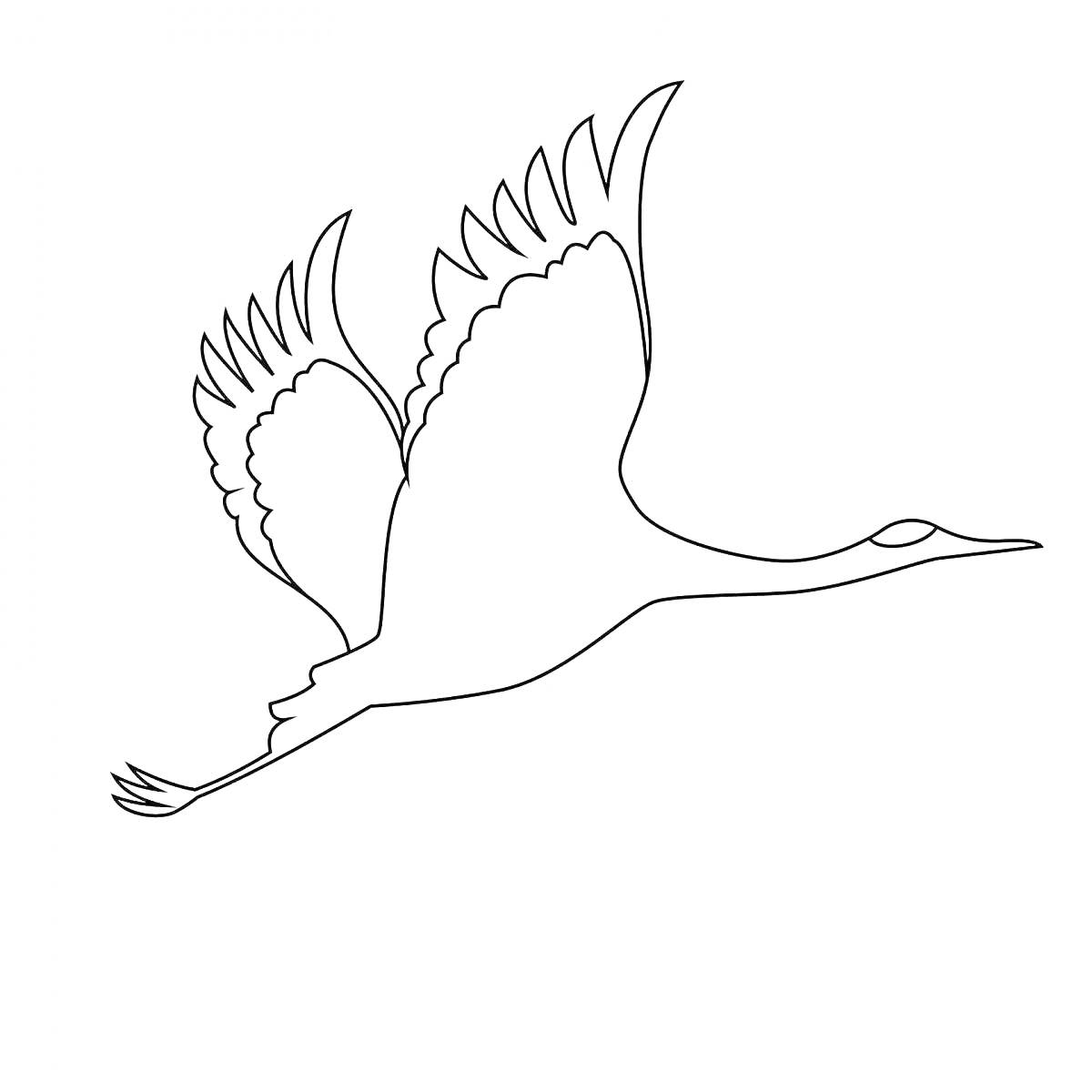 На раскраске изображено: Журавль, Полет, Птица, Крылья, Природа