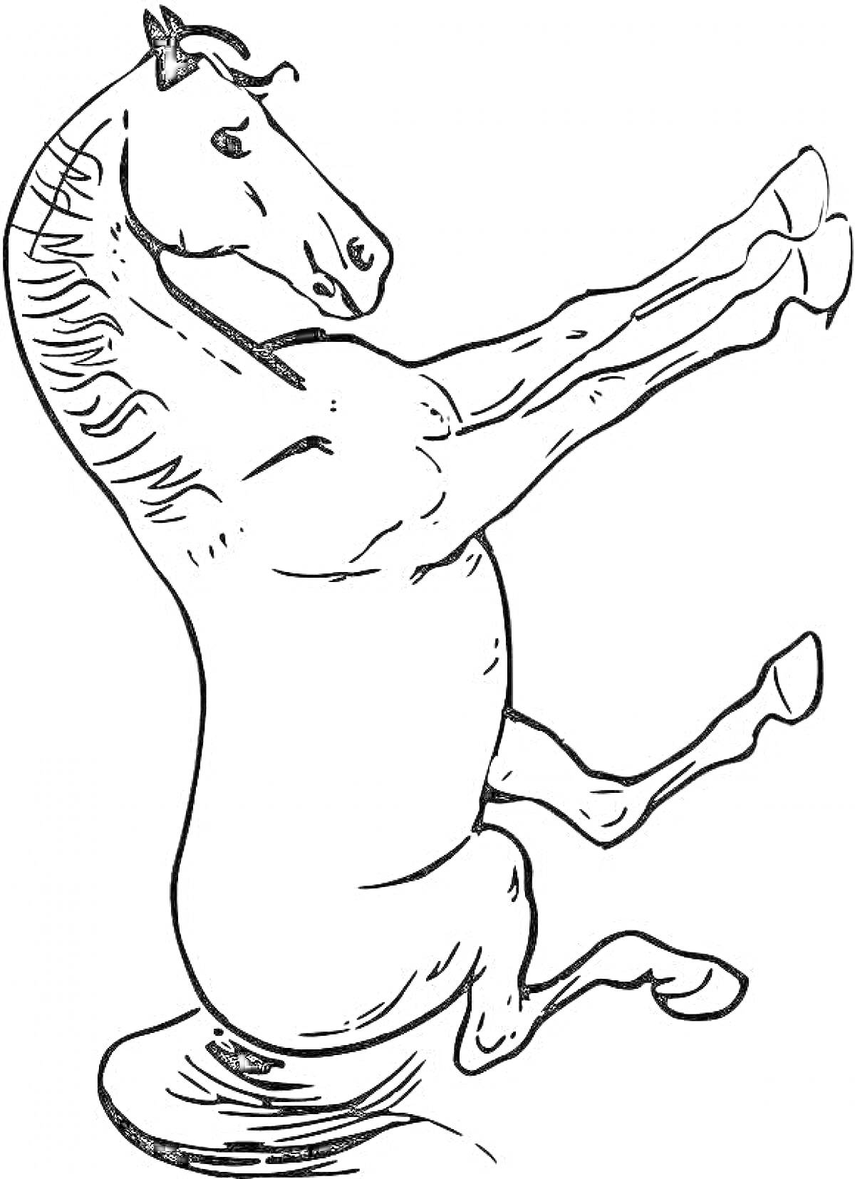 На раскраске изображено: Лошадь, Животные, Контурные рисунки