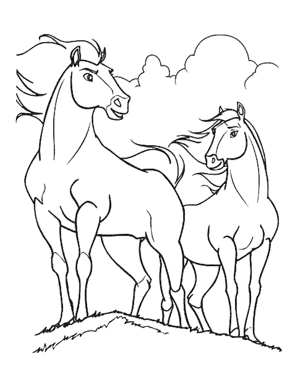 Раскраска Две лошади на холме с облаками на заднем плане