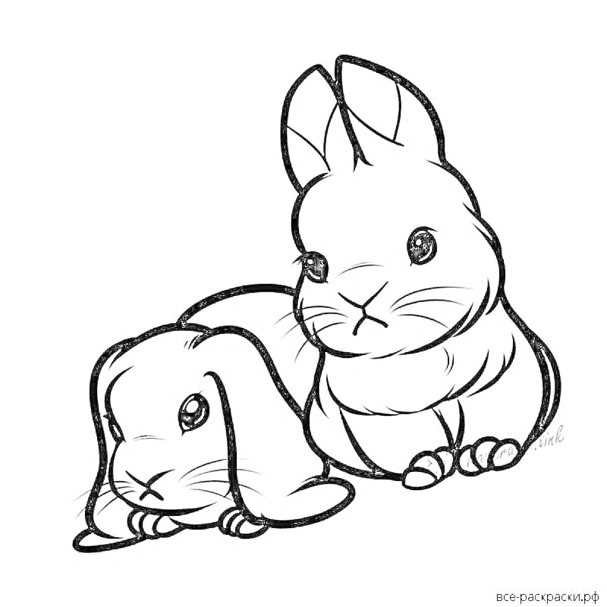 Раскраска Два милых кролика - один сидит, другой лежит рядом