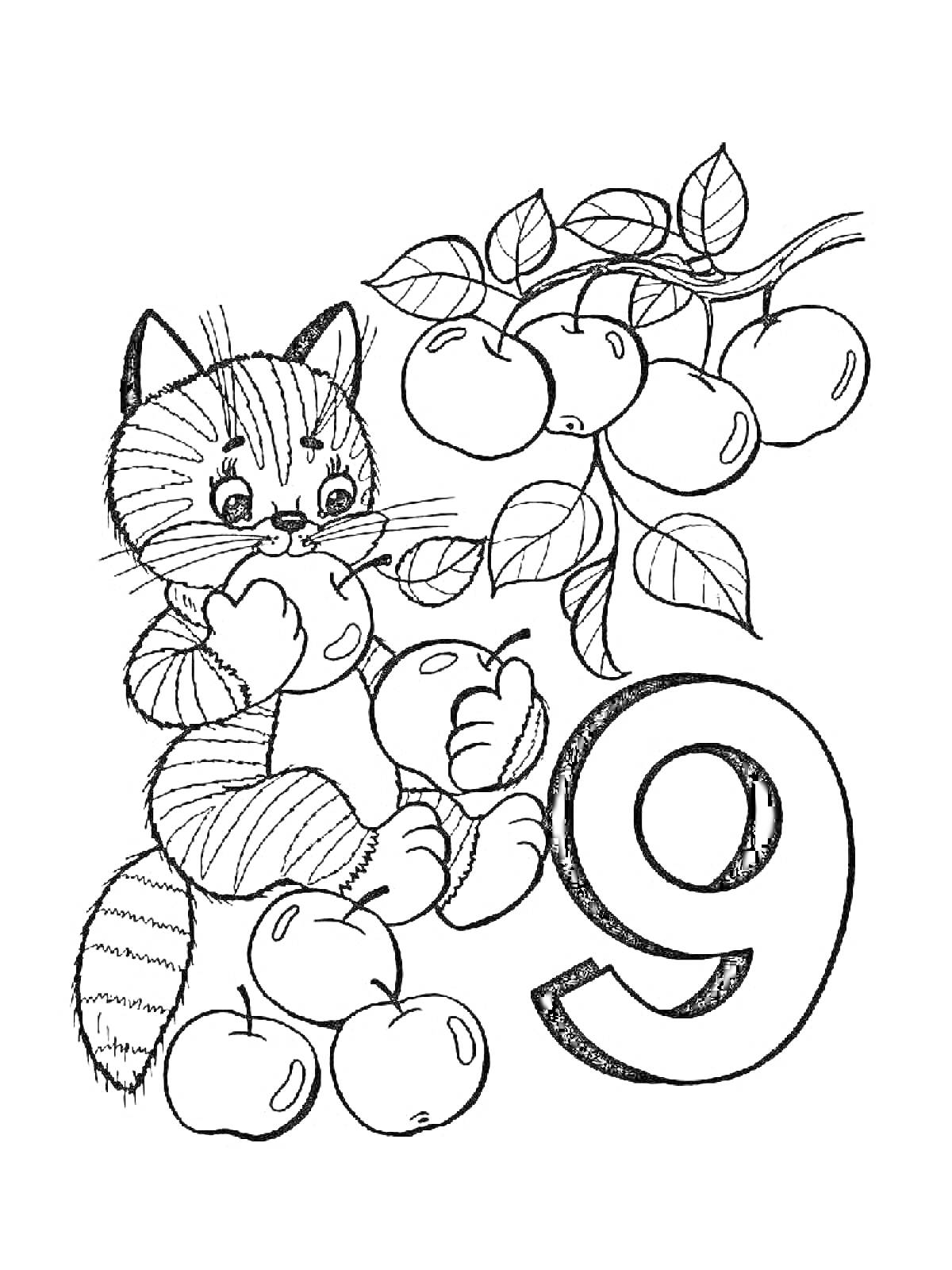 Раскраска Кот с яблоками и цифра 9