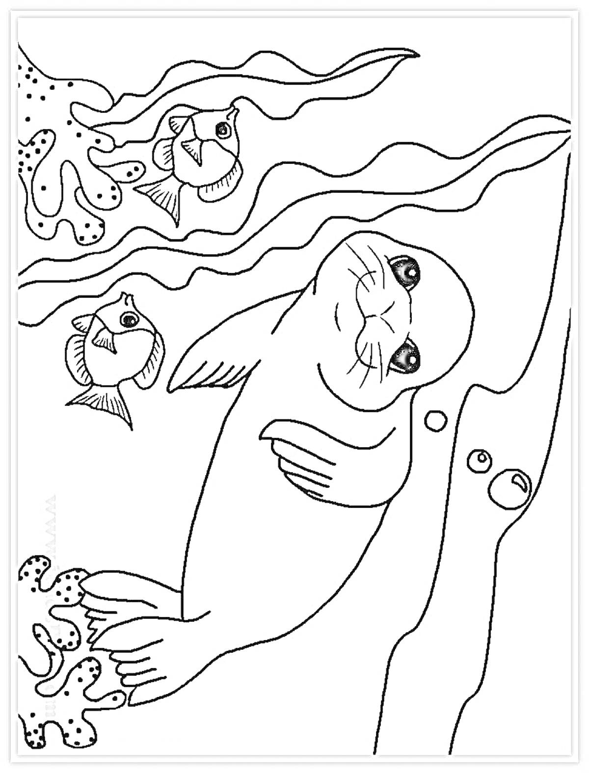 Раскраска Тюлень и рыбы на морском дне