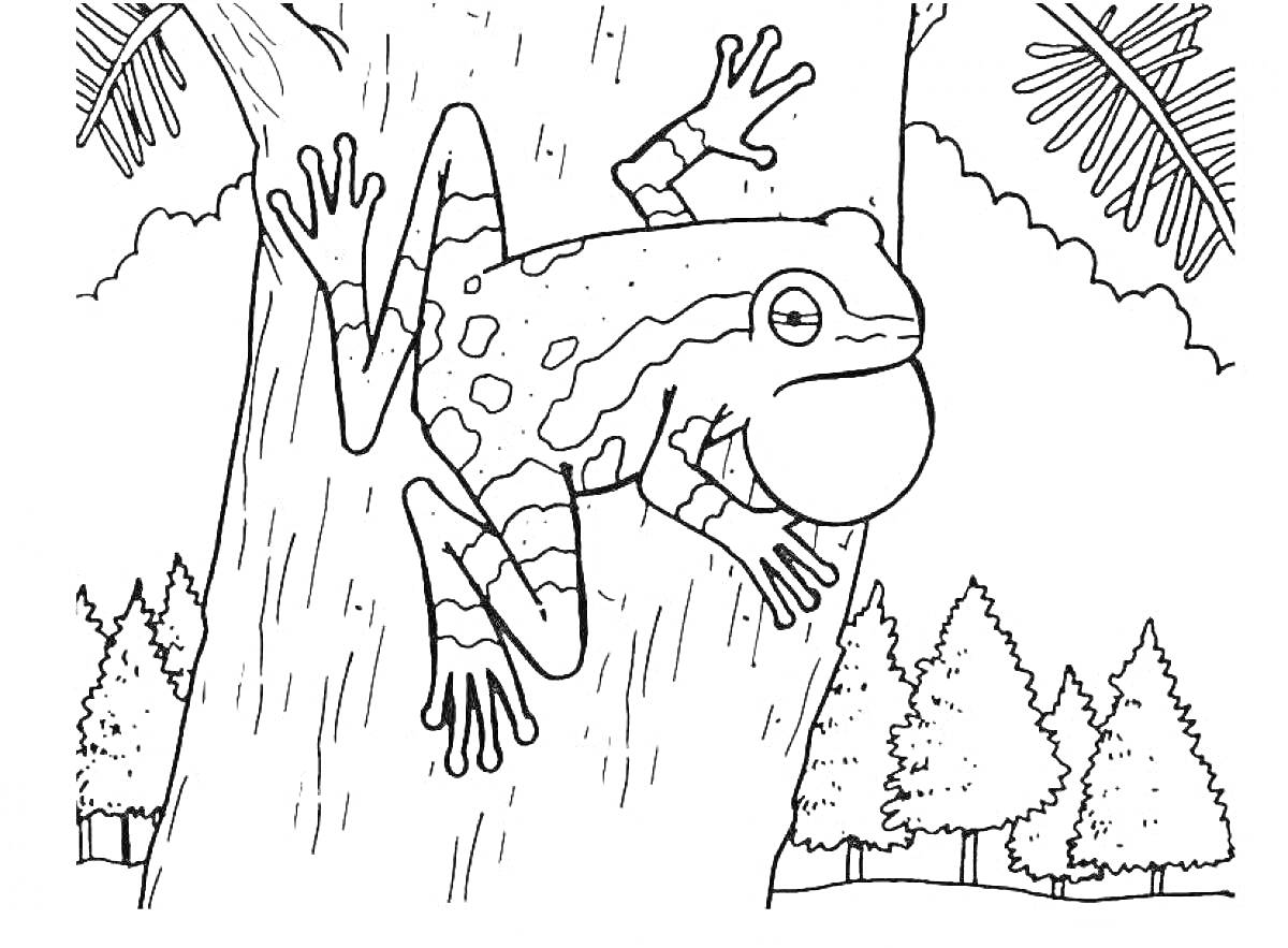 Раскраска лягушка с надувшимся горлом на дереве в лесу