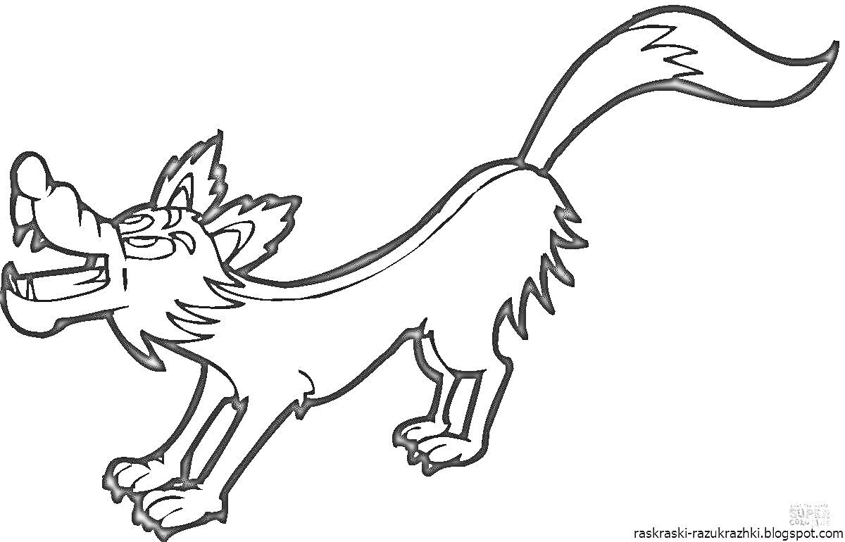 Раскраска Волк с высокой поднятой хвостом, стоящий на четырех лапах и улыбающийся