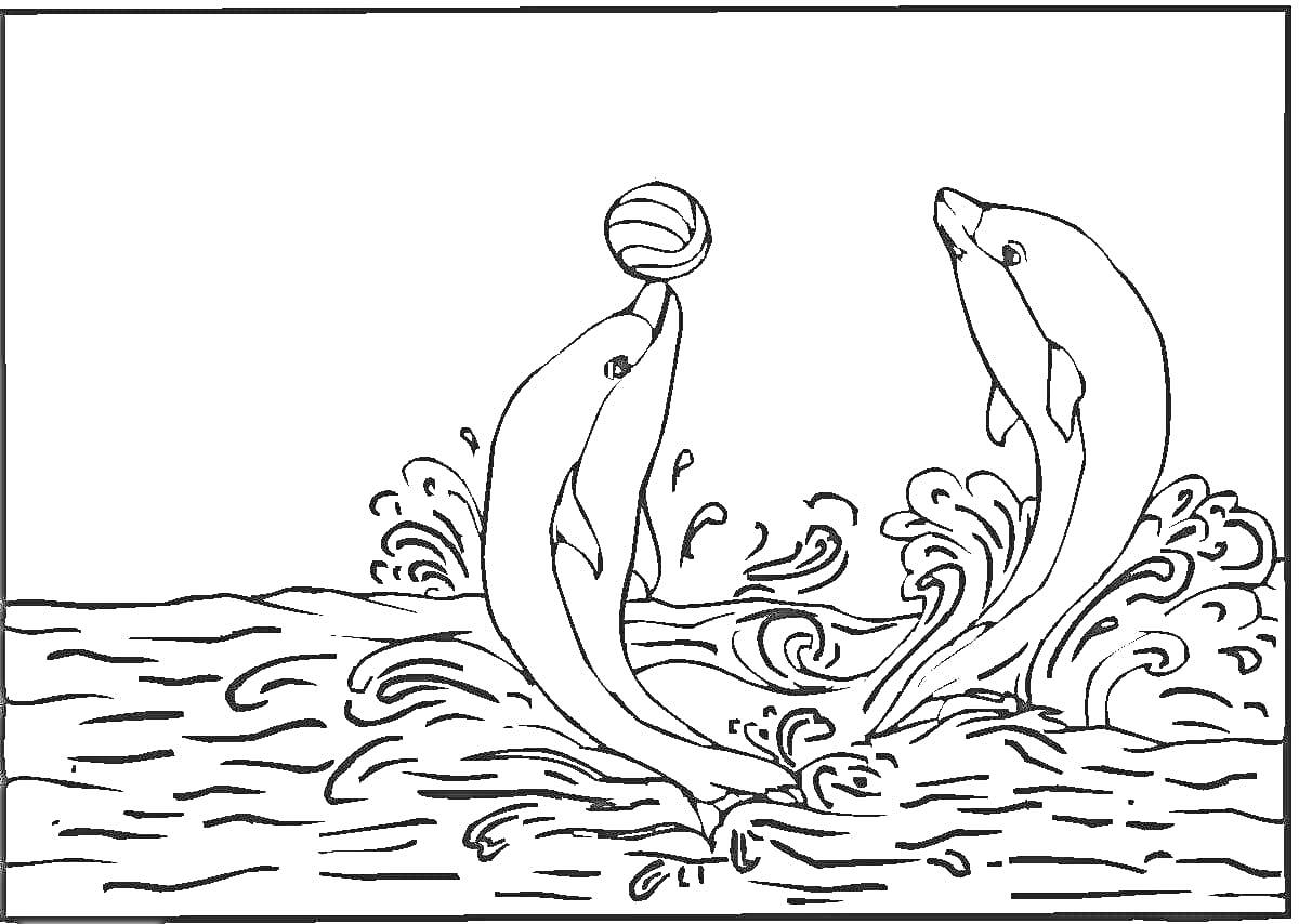 Раскраска Два дельфина играют с мячом на волнах
