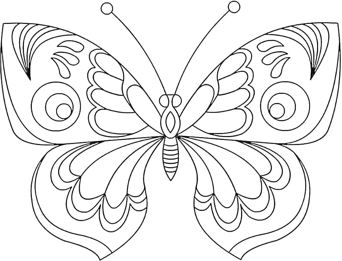 Раскраска Раскраска с бабочкой с крупным и симметричным узором на крыльях, включающим округлые и изогнутые мотивы, а также линиями, имитирующими рисунок на крыльях.