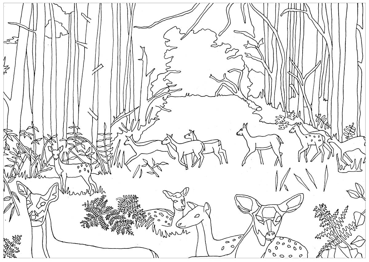 Раскраска Лес с оленями, деревьями и кустарниками