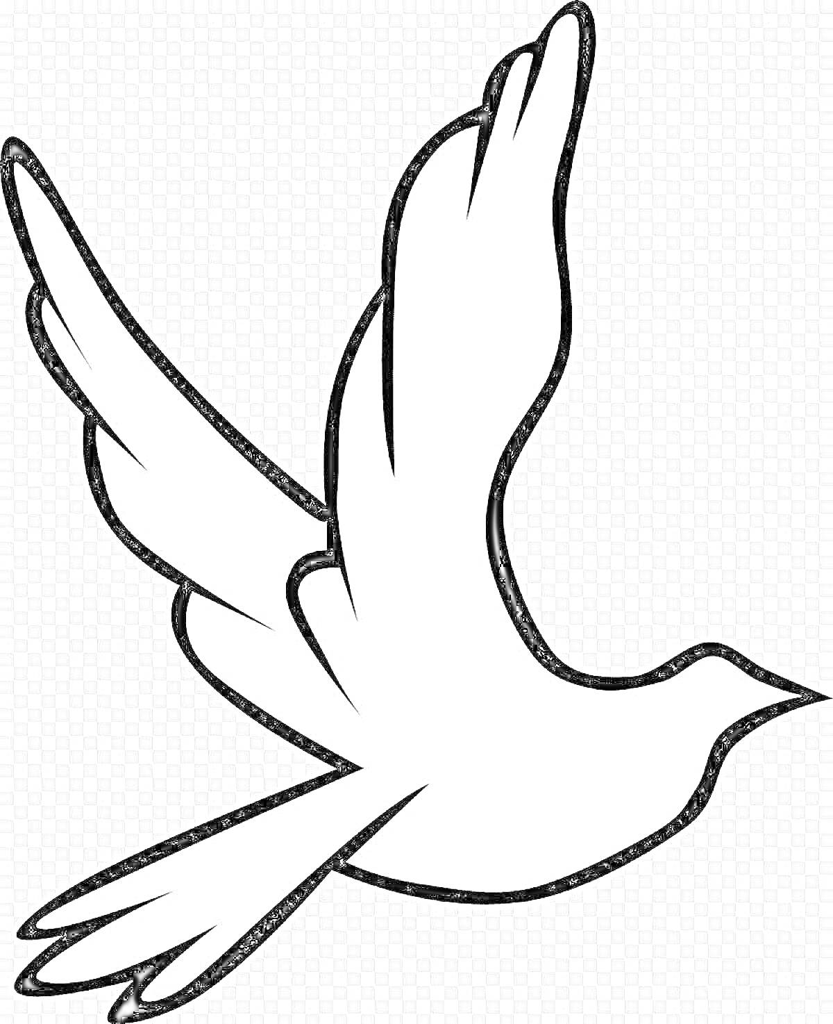 Раскраска Летящий голубь с расправленными крыльями и хвостом