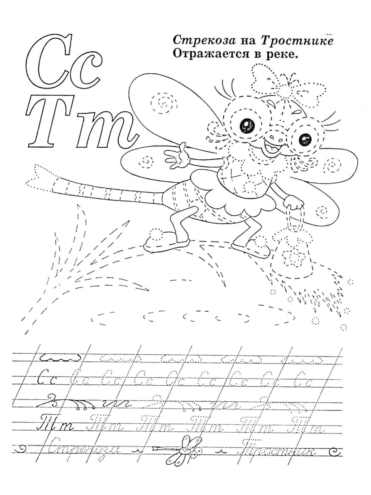 Раскраска Стрекоза на тростнике с прописными и строчными буквами С и Т на фоне ручейка в тетради