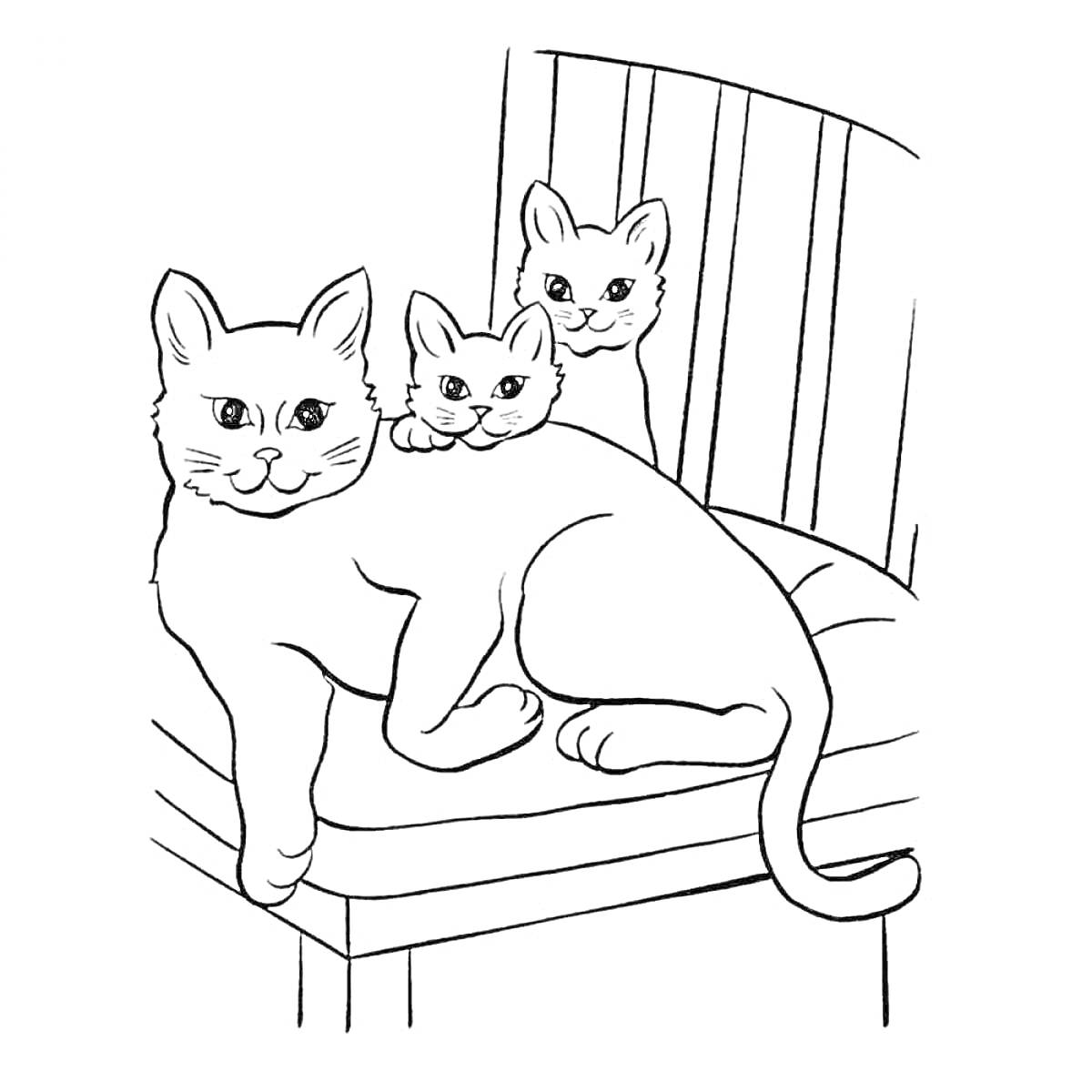 Раскраска Две маленькие кошки и одна большая кошка на стуле