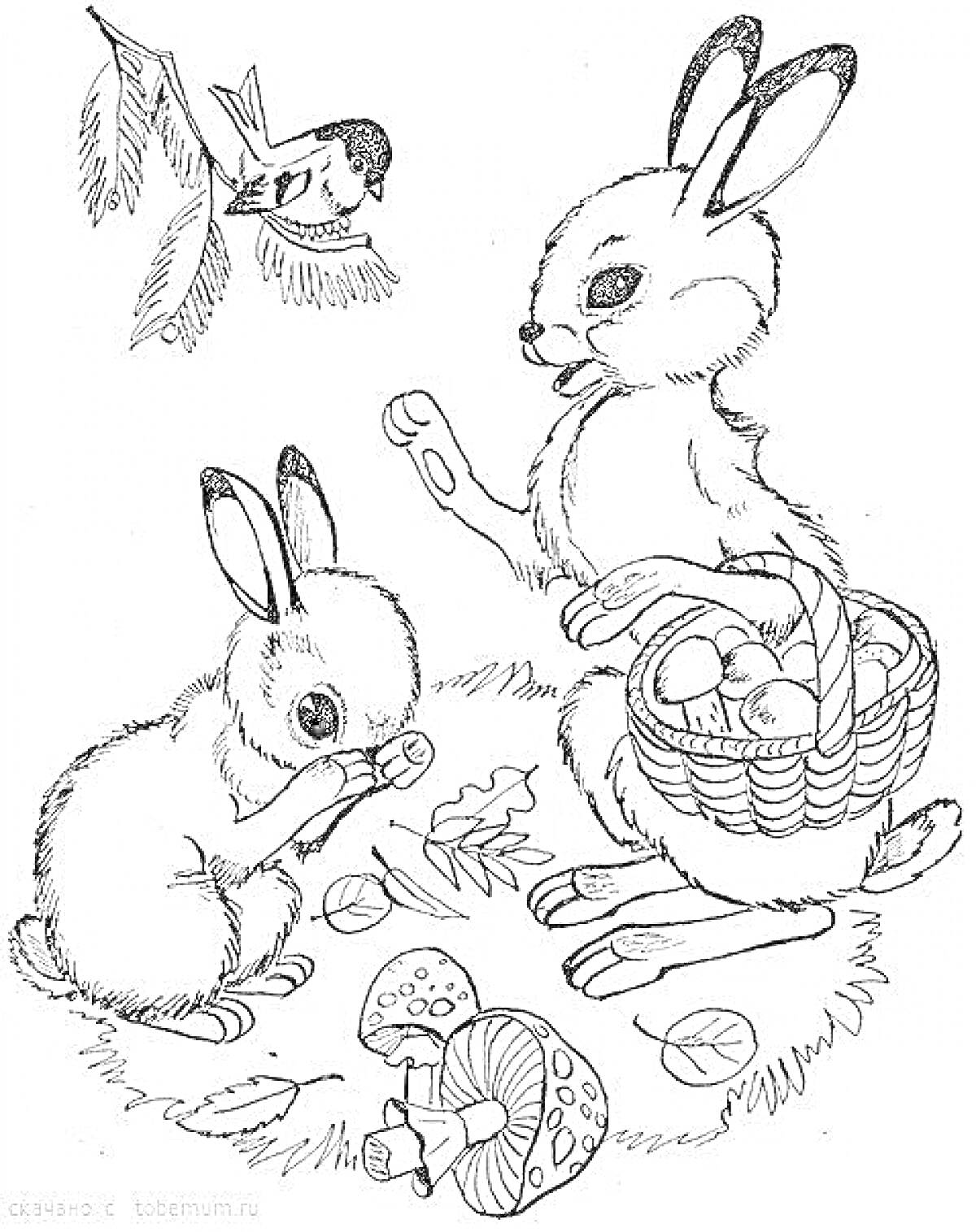 Раскраска Два зайца с корзиной грибов и птицей на ветке