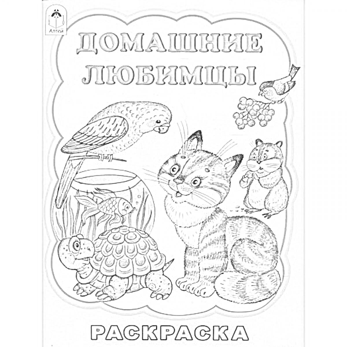 На раскраске изображено: Домашние питомцы, Хомяк, Черепаха, Аквариум, Кот, Улитка, Животные