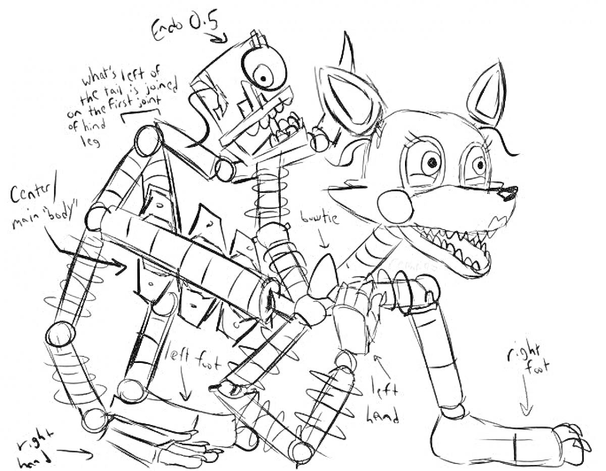 Раскраска Аниматроник Мангл с анатомическими пометками различных частей тела, таких как левая лапа, правая лапа, левая нога и правая нога.