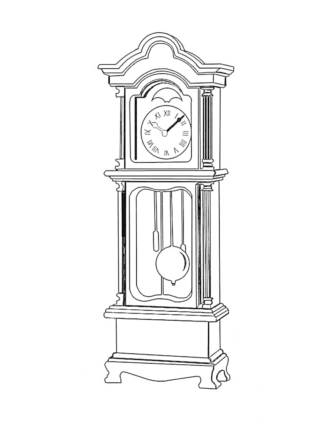 Раскраска Напольные механические часы с маятником и римскими цифрами на циферблате