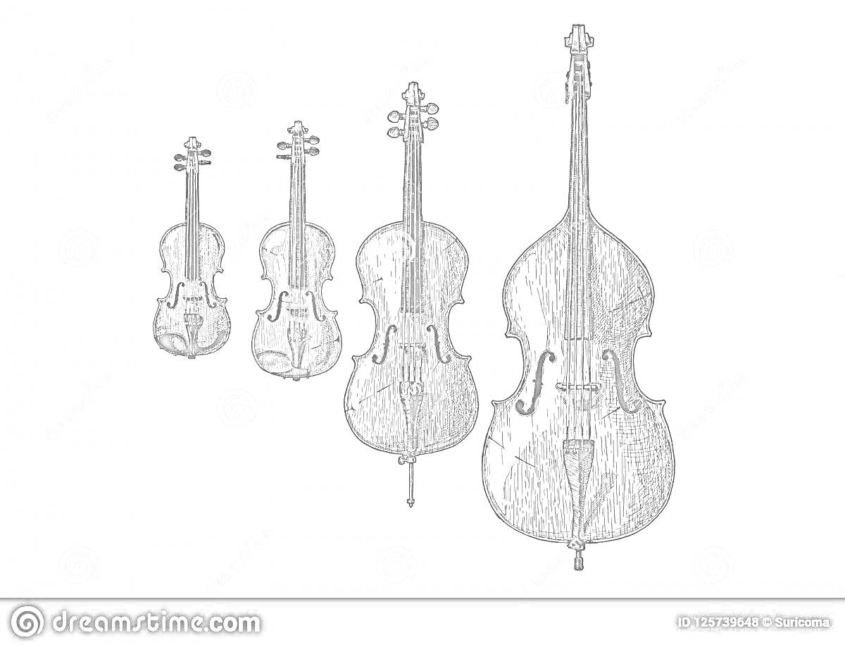 На раскраске изображено: Скрипка, Виолончель, Контрабас, Струнные инструменты, Музыка, Классическая музыка