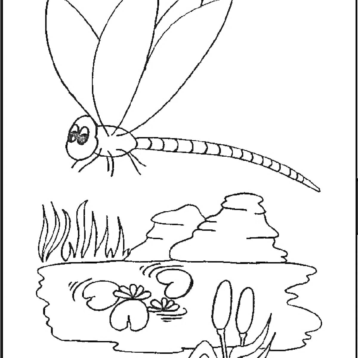 Раскраска Стрекоза над водоемом, камни, рогоз и кувшинки