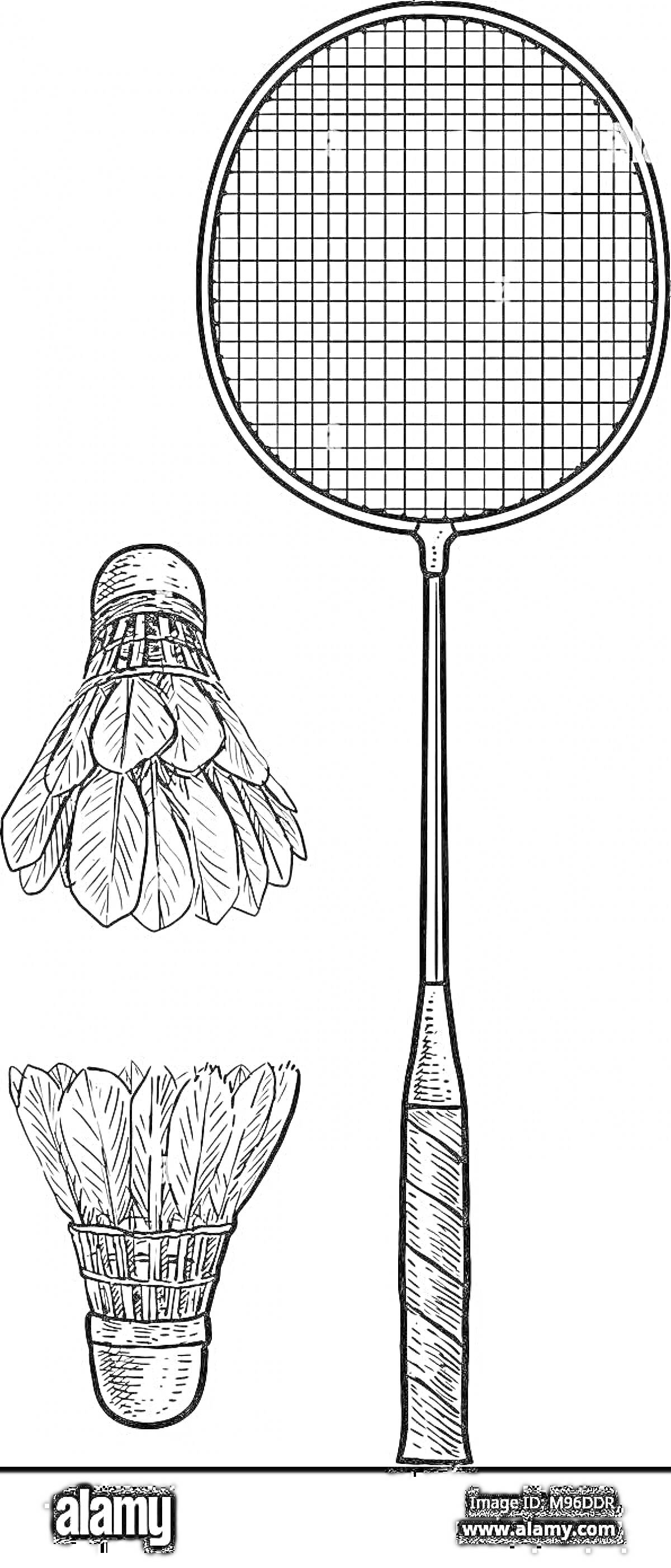 Раскраска Ракетка для бадминтона и воланы