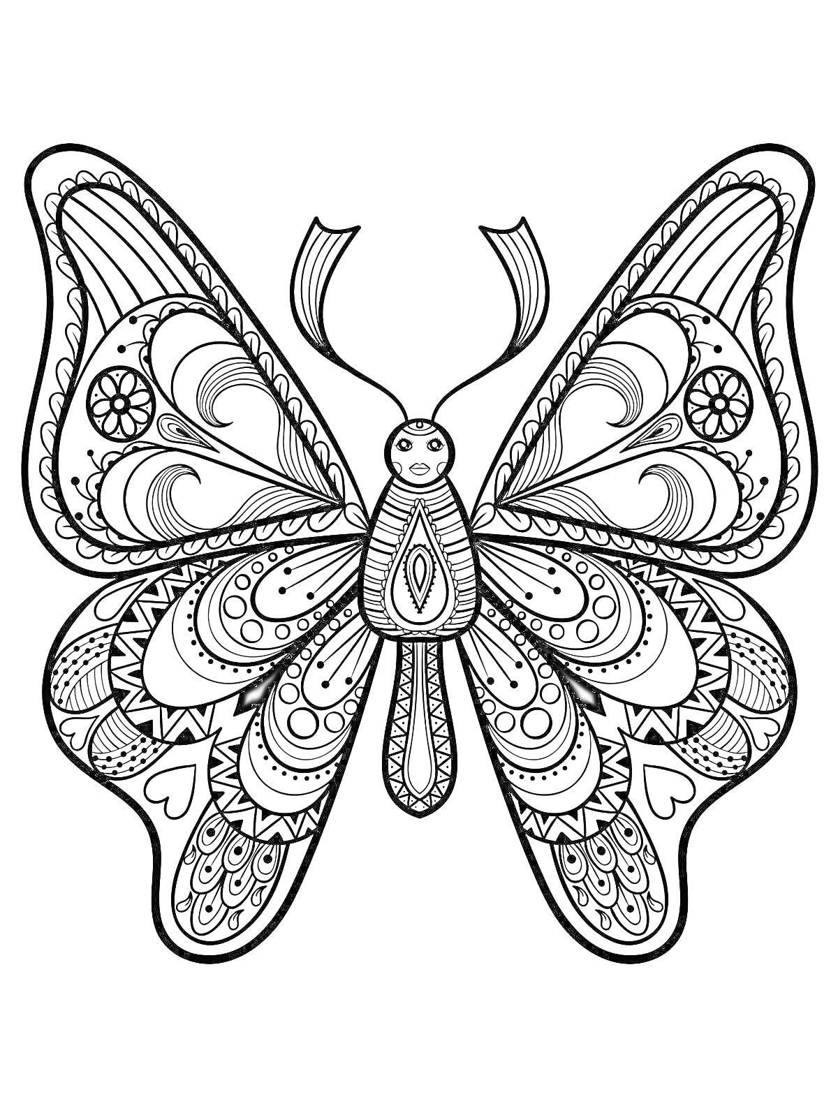 Раскраска бабочка с узорами, сердцами и завитками на крыльях