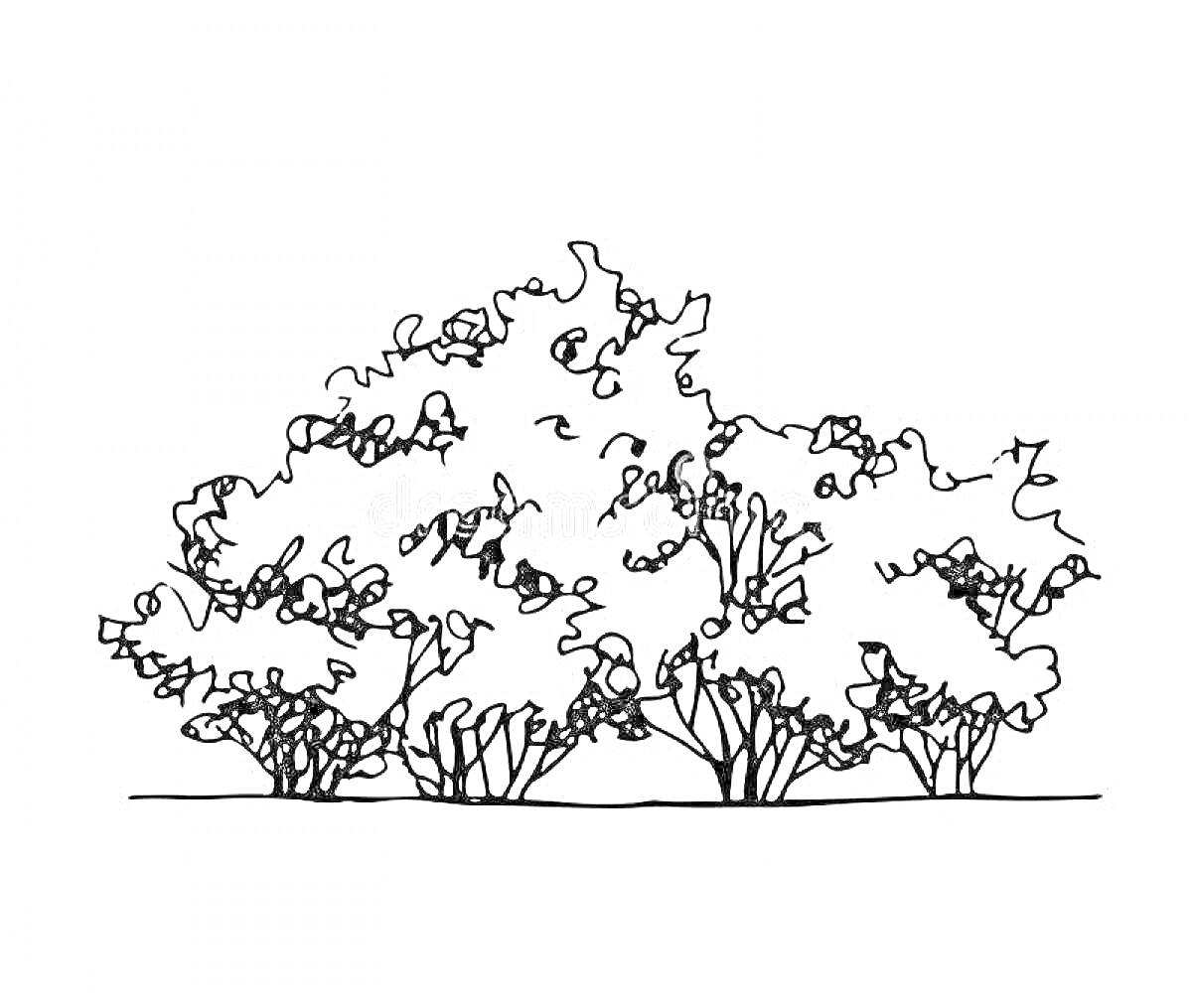 Раскраска Несколько кустарников на земле, с разными формами и текстурами ветвей и листьев