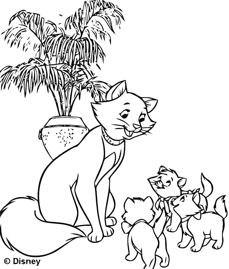 Раскраска Большой кот и трое котят у пальмы в горшке