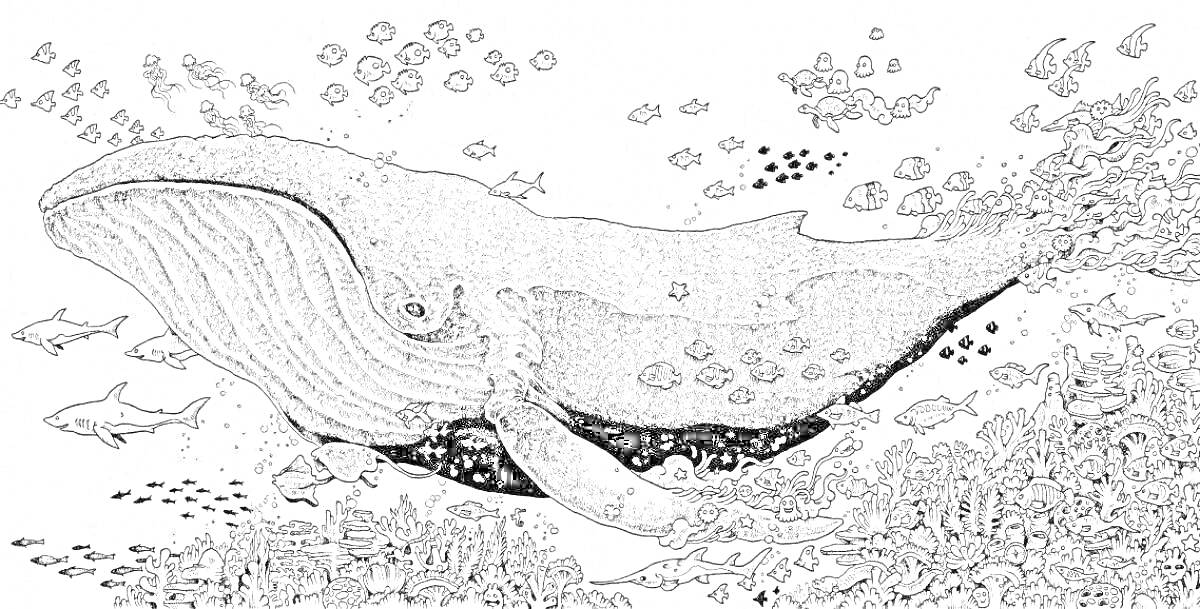 Раскраска Кит среди рыб и кораллов