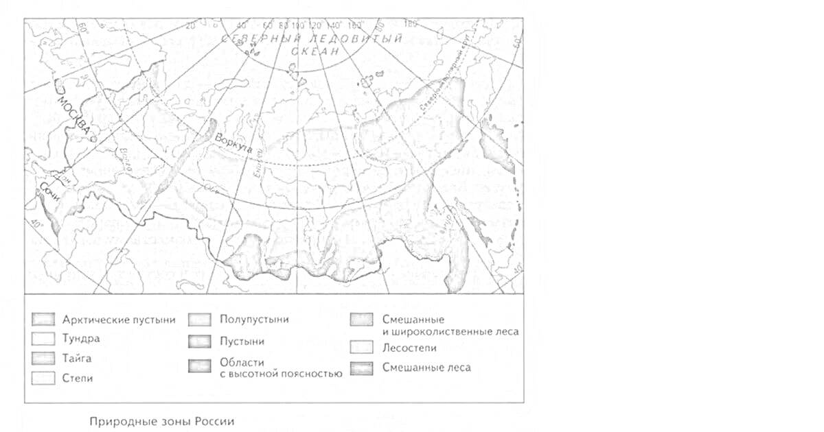 Раскраска Природные зоны России: арктические пустыни, тундра, лесотундра, тайга, смешанные и широколиственные леса, лесостепи, степи, полупустыни, пустыни; зона высотной поясности, зона подтайги, северная тайга, средняя тайга, южная тайга.